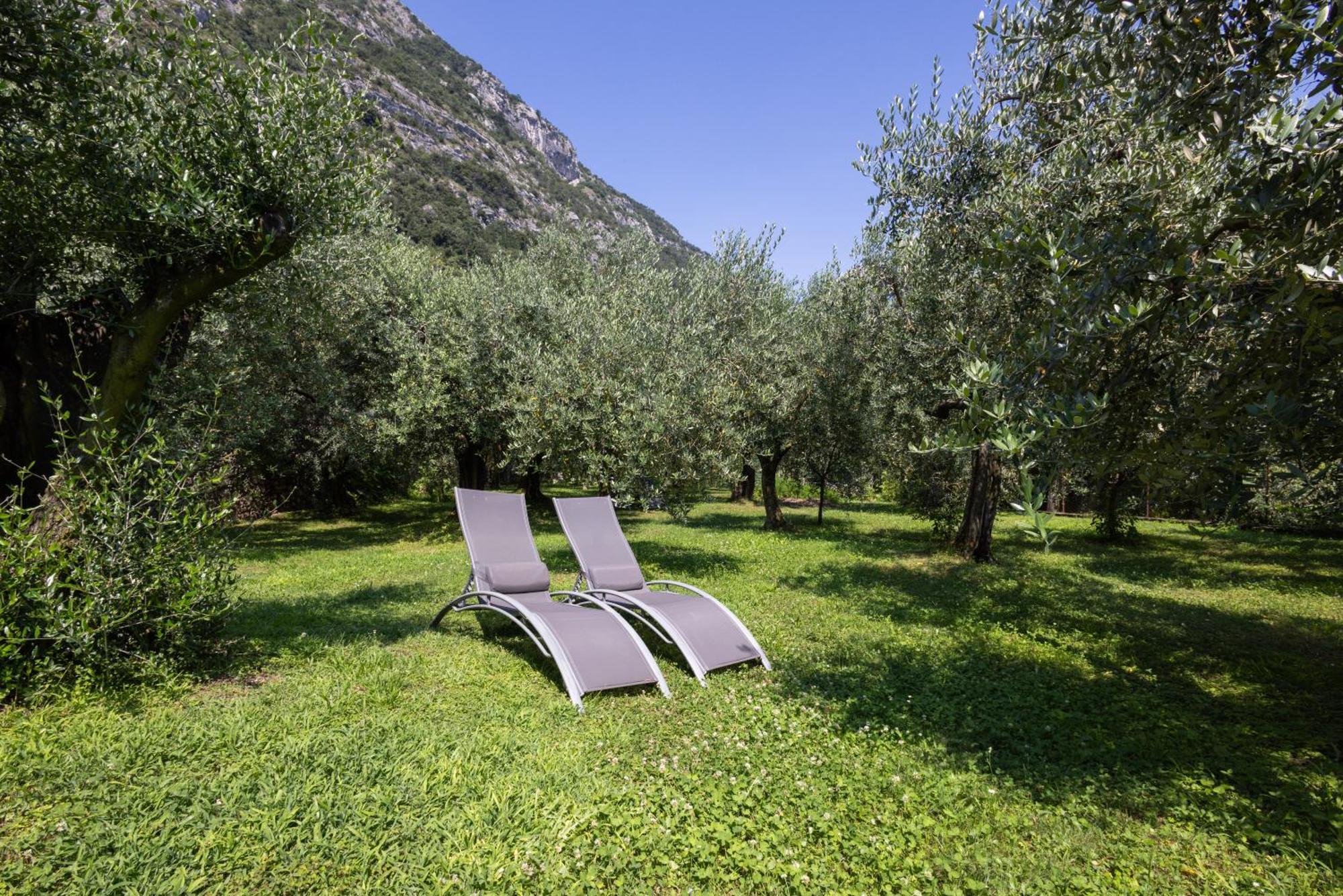 Iseolakerental - L'Uliveto Di Bea Predore Exterior foto